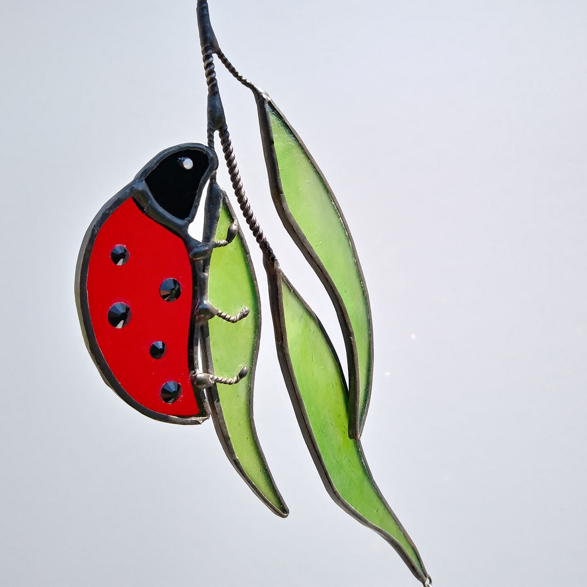 LADYBUG ON WILLOW